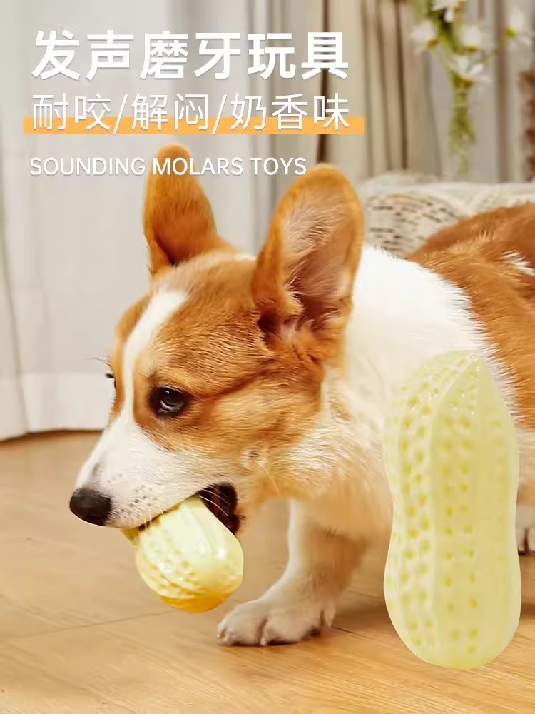 柯基泰迪大小型犬磨牙棒用品
