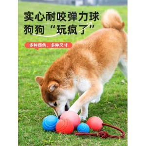 宠物大小狗磨牙实心球